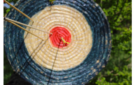 Tir de Noel le Mercredi 15 Décembre 2021