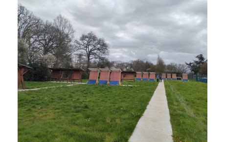 Un après-midi de &quot;travaux forcés&quot; pour les Archers de la Lande !